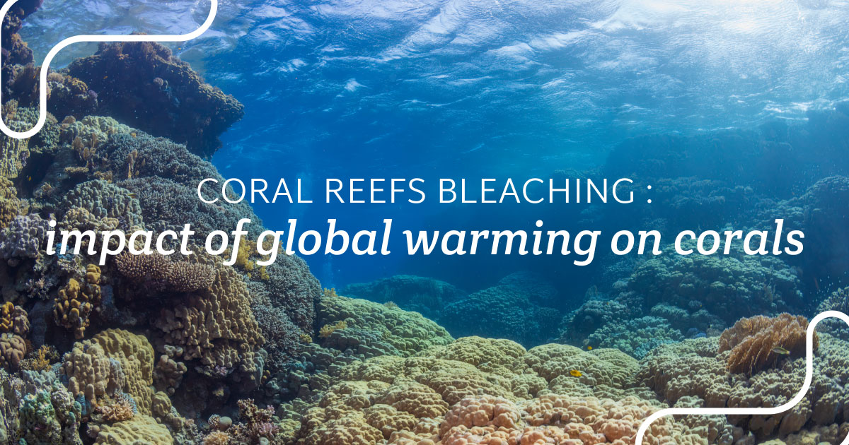 Coral reefs bleaching: impact of global warming on corals