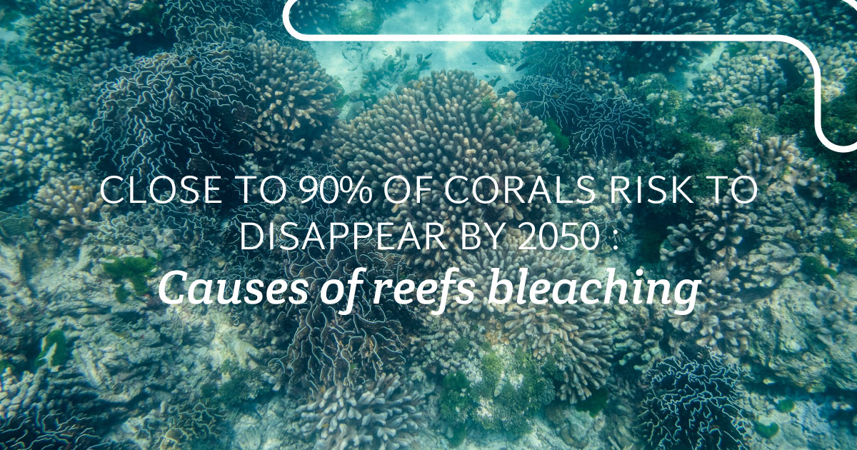 The causes of reefs bleaching